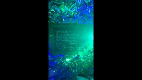 Christmas 🎄🎅 🎁 🤶 Wish for #BBQRANDO 🌵🤠