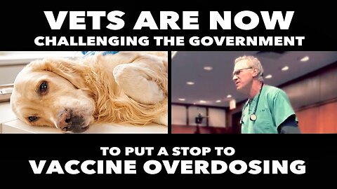 "Understanding the Risks: The Silent Danger of Over-Vaccinating Your Pets"