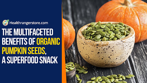 The multifaceted benefits of Organic Pumpkin Seeds, a superfood snack