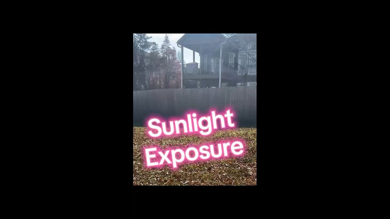 Sunlight exposure is vital to your health