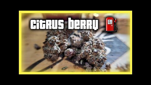 CITRUS BERRY GAS available at JK Distro