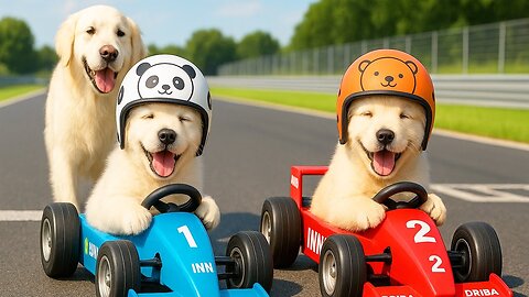 Mama Dog Works Tirelessly to Buy Her Puppy’s Dream Race Car 🐕🏎️🐶❤️