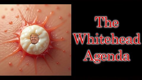 Donald Trump and the World Agenda | Predictions from 2016