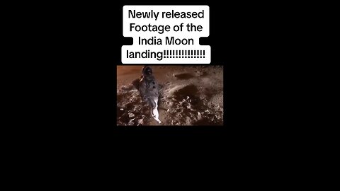 The moon