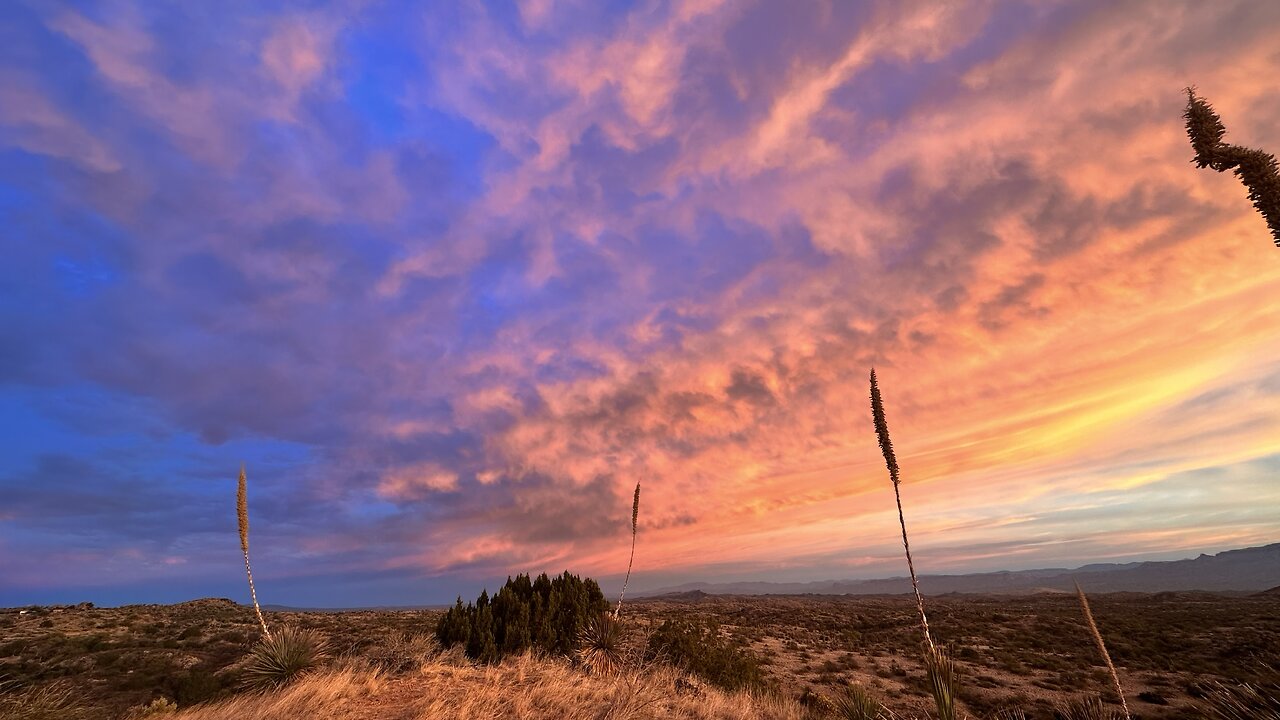 Arizona sunset