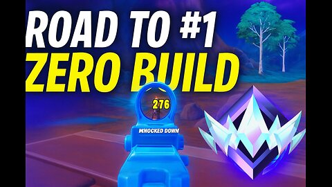 Upcoming Fortnite zero build pro ?
