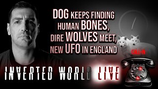 Dog Keeps Finding Human Bones, Dire Wolves Meet, New UFO in England | Ep. 92