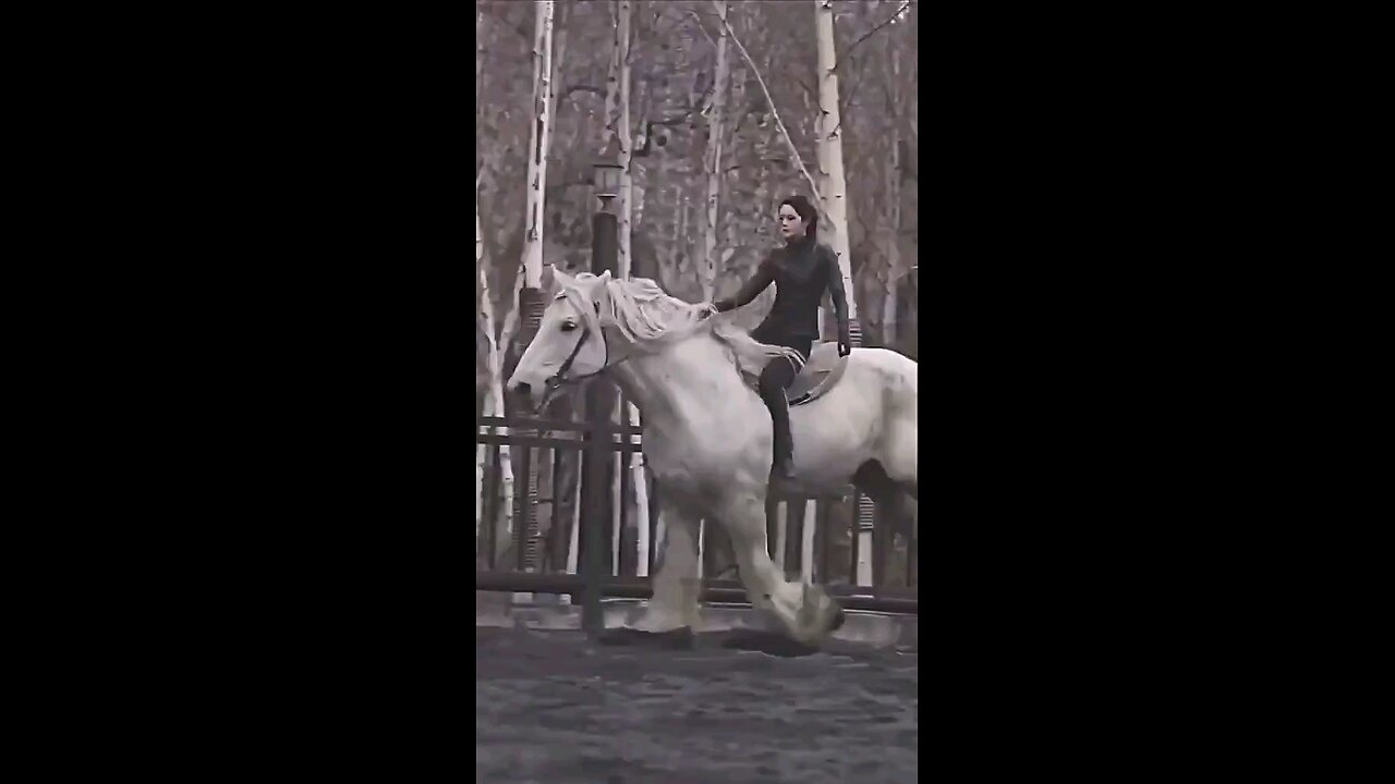 Horse Lover