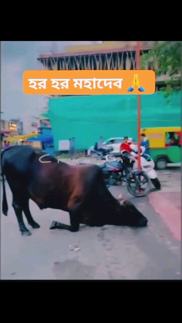 NEWSMAX2 LIVE | Real News for Real People? Too funny!How cute is that.. | Please Follow me