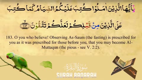 3 - Quran القرآن الكريم -Surah Al-Baqarah سورة البقرة