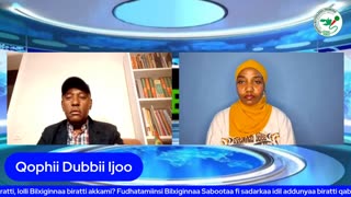 Qophii Dubbii Ijoo ONM-ABO Hagayya 19-2025 itti dhiyaadhaa!
