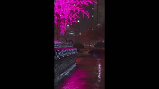 Hollow Wind – whispers through open skies.