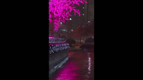 Hollow Wind – whispers through open skies.