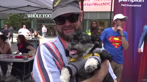 Krypto lookalike contest held as Superman flies into theaters