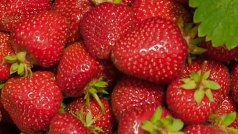 Strawberry Superpowers: What This Sweet Fruit Does for Your Brain, Heart, and Skin