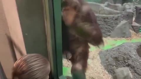 Control Buddy, Control! This Monkey’s Got No Chill 💋🐒