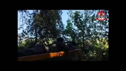 🎯🔥 Myanmar War | Red Dragon Snipers Strike Junta Forces in Karen State | RCF