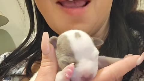 Pidgey Sucks my finger