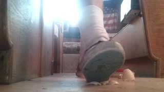 Worn Red Vans vs. Eggshells - Male Content