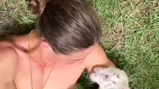The kind forest ranger adopted the abandoned white tiger cub and then.