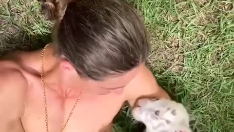The kind forest ranger adopted the abandoned white tiger cub and then.