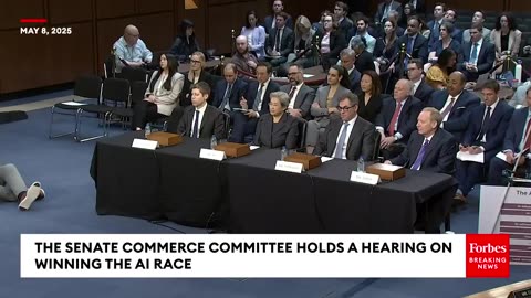 Brian Schatz Asks OpenAI CEO Sam Altman If Self-Regulation Within Industry Is 'Sufficient'