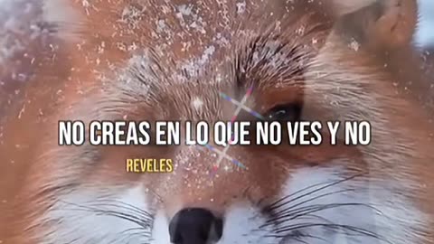 REFLEXIÓN ✨️ ✨️ ✨️ ✨️ ✨️ ✨️ ✨️ ✨️ ✨️ ✨️