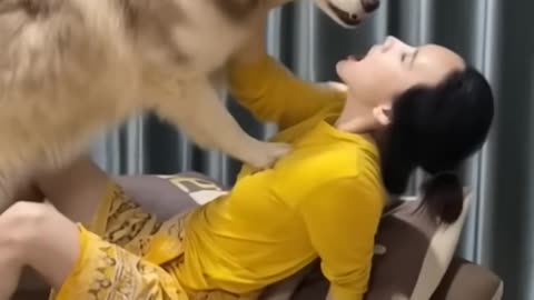 Dog and girl