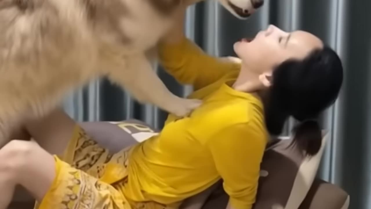 Dog and girl