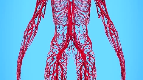 About nerves
