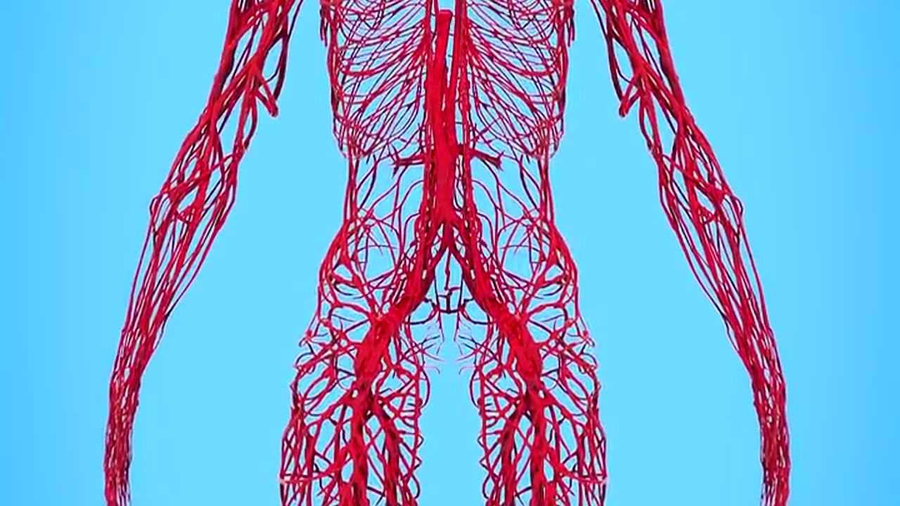 About nerves