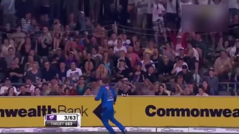 Top Catches