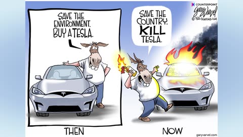 Tesla and Liberal Idiots