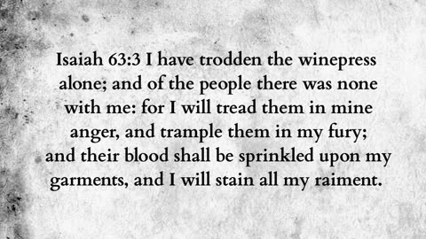 Martus Ministry -295- Red Sea
