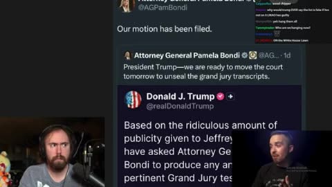 Trump's all over the Epstein files books papers