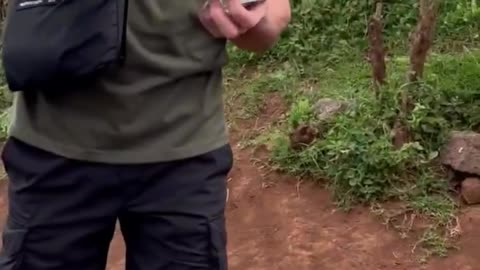 🌀 ZYN Tries Tribe – Die Snus-Reise beginnt 🌀