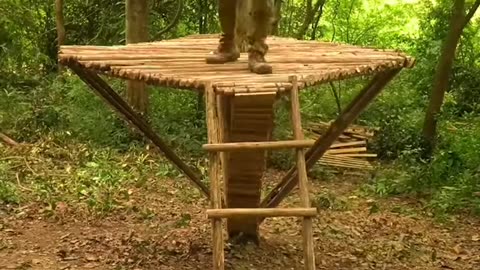 Part1 2Days Builder Shelter In Tree 7m Solo Skills Surviva