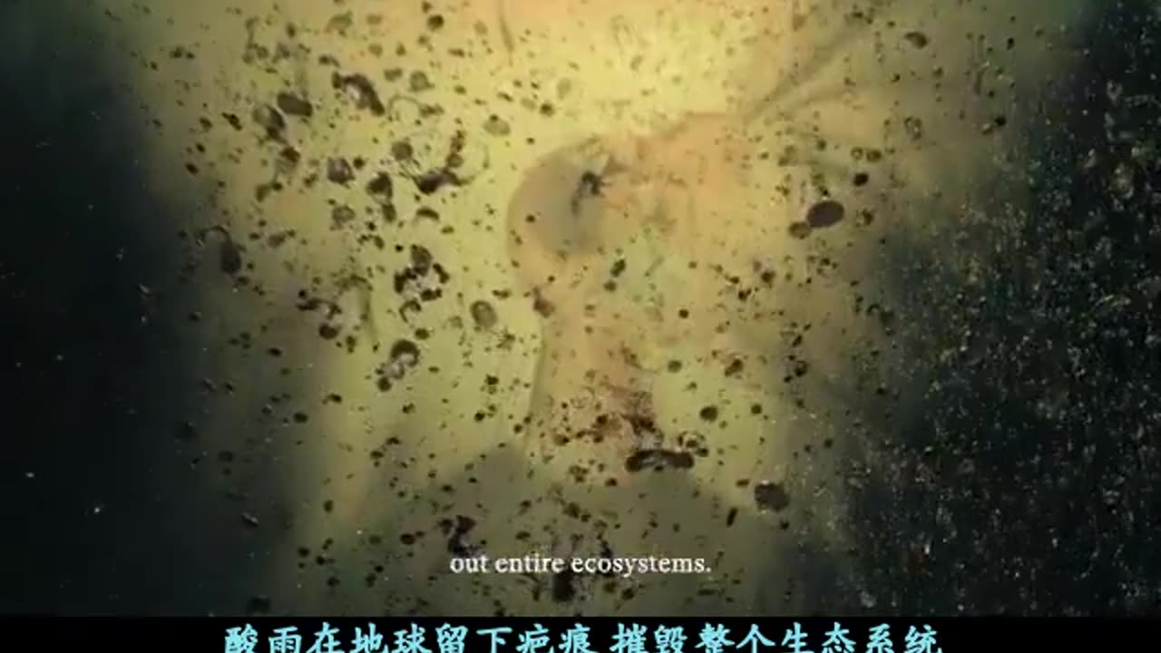 “注意”美國國家情報總監圖爾西-加巴德 ，6月10號警告:全球極權主義精英與戰爭販子正在核大國之間煽動恐懼和緊張！“核大戰”不小心將一觸即發，呼籲全人類挺身而出、要求停止這種瘋狂