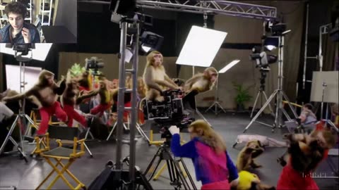 Outtake #1,107 Of Over 3 Zebras Roam Around A McDonald's Restaurant Fake Funny Parody Video