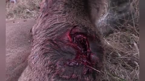 TAKING NAILS OFF CHARLIE KIRKS COFFIN - 100% EXPOSES THE CHARLIE KIRK HOAX SHOW - FROMDEATH2LIFE