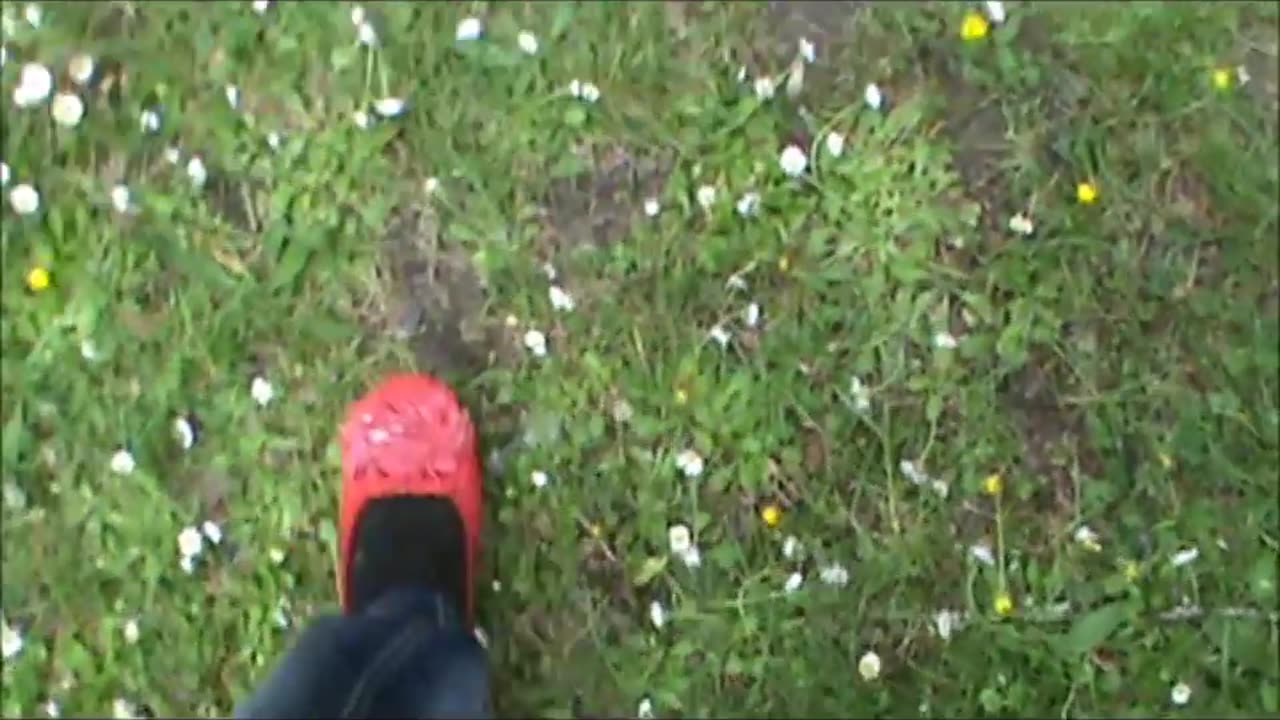 Crushing Flowers Under Red Flats