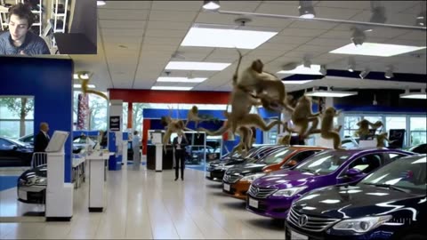 Outtake #1,088 Of Over 3 Monkeys Roam Around A Car Dealership Fake Funny Parody Video