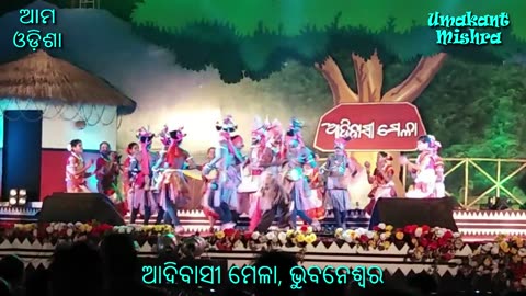 Adivasi Mela 2019 - Traditional Tribal Dance Performances