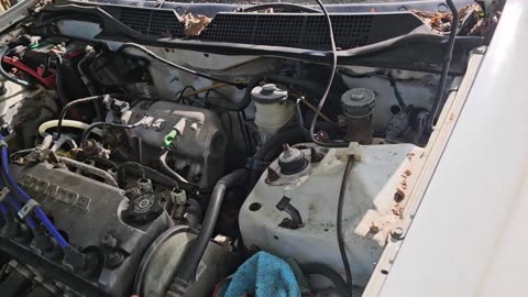 Connies 1996 Honda Civic Lives May 29th 2025