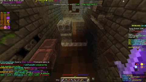 Skyblock FLOOR 7 [#2528]