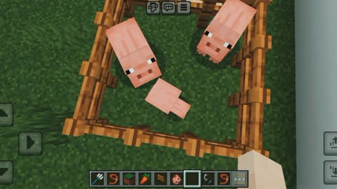 How to breed pig in Minecraft