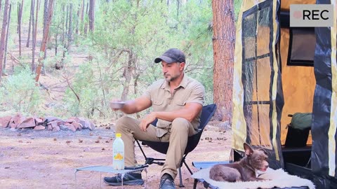 Solo Camping in Heavy Rain with My Dog