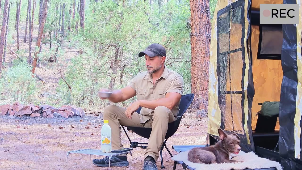 Solo Camping in Heavy Rain with My Dog