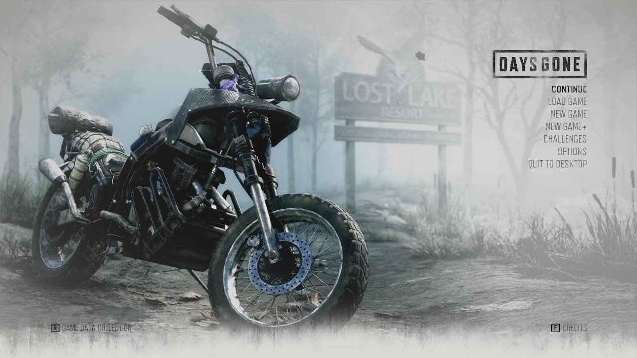 Days Gone - 16