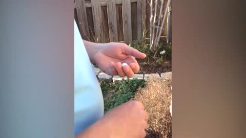 I was NOT Expecting That! 😲😂 Funny Pranks And Fails Of The Week |